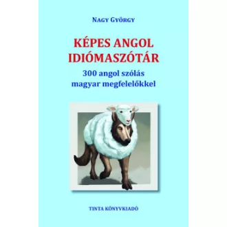 Képes angol idiómaszótár