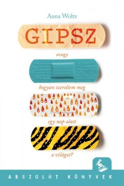 Gipsz, avagy hogyan szereltem meg egy nap alatt a világot?