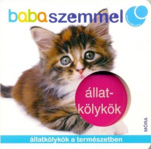 Állatkölykök - babaszemmel