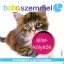 Állatkölykök - babaszemmel