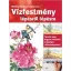 Vízfestmény lépésről lépésre