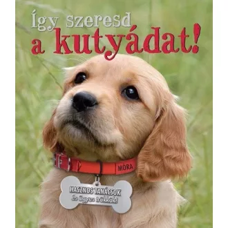 Így szeresd a kutyádat!