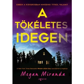 A tökéletes idegen