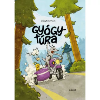 Gyógytúra