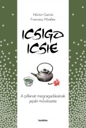 Icsigo-icsie - A pillanat megragadásának művészete