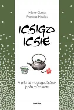 Icsigo-icsie - A pillanat megragadásának művészete