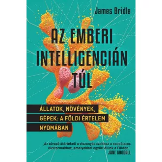 Az emberi intelligencián túl