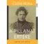 A pillanat értéke