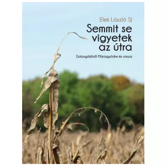 Semmit se vigyetek az útra