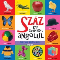 Száz kép színekkel angolul - Sok-sok matricával