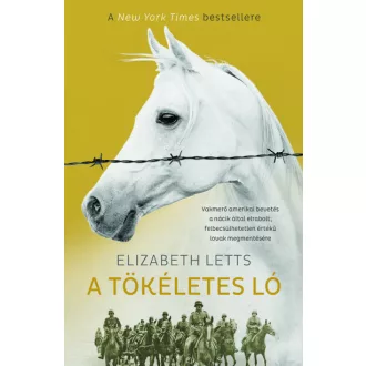 A tökéletes ló