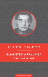 Elmentem a falumba