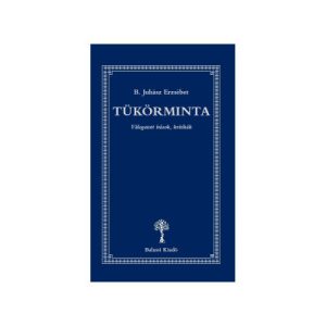 Tükörminta - Válogatott írások, kritikák