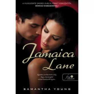Jamaica Lane - Dublin Street 3.