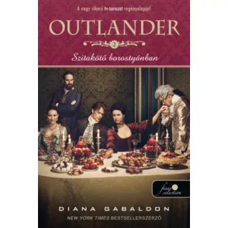 Outlander 2. - Szitakötő borostyánban - Filmes borító