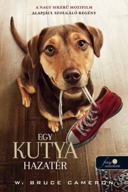 Egy kutya hazatér - Filmes borító