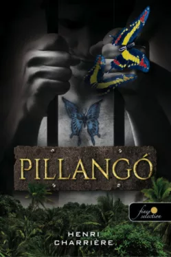 Pillangó - Szökéseim a pokolból