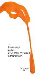 Kényszerleszállás Shannonban