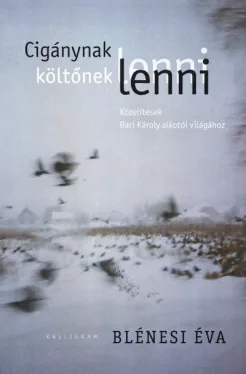Cigánynak lenni, költőnek lenni