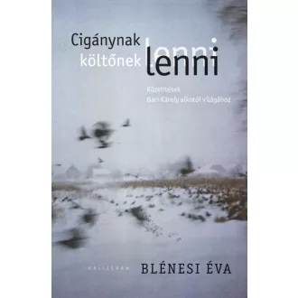 Cigánynak lenni, költőnek lenni
