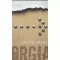 Orgia