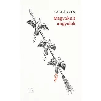 Megvakult angyalok