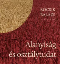 Bocsik Balázs - Alanyiság és osztálytudat