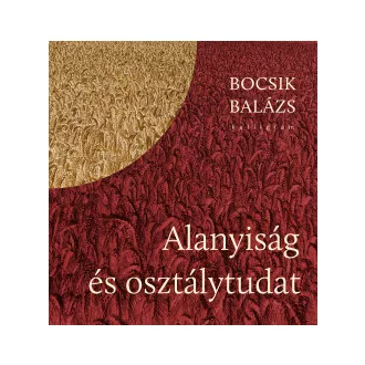 Bocsik Balázs - Alanyiság és osztálytudat