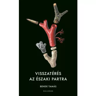 Bende Tamás - Visszatérés az északi partra