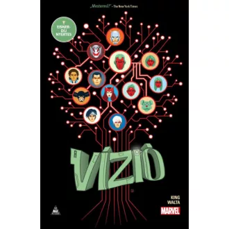 A Vízió