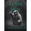 A lány és a hegy - A Jég könyve 2.