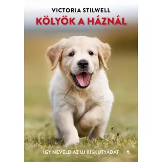 Kölyök a háznál