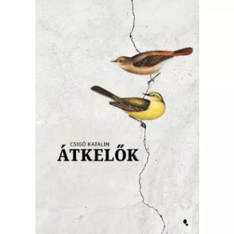 Átkelők - puha kötés