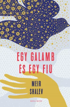 Egy galamb és egy fiú 