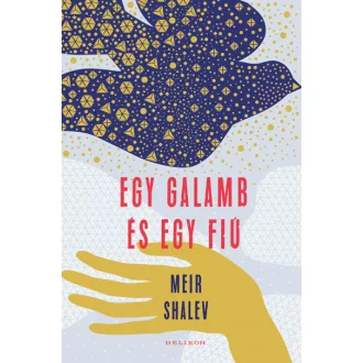 Egy galamb és egy fiú 