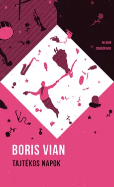 Tajtékos napok - Helikon zsebkönyvek