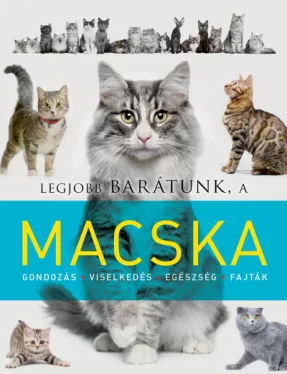 Legjobb barátunk, a macska
