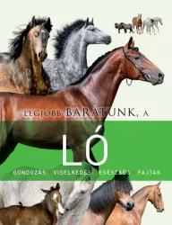 Legjobb barátunk, a ló