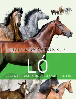 Legjobb barátunk, a ló