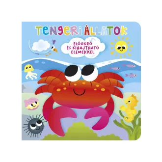 Ki bújt el? Tengeri állatok