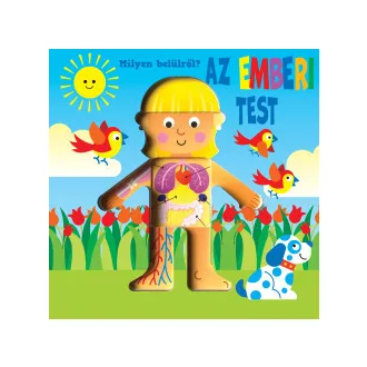 Milyen belülről - Az emberi test