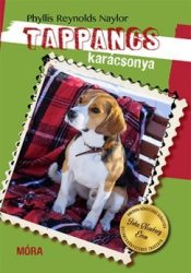 Tappancs karácsonya