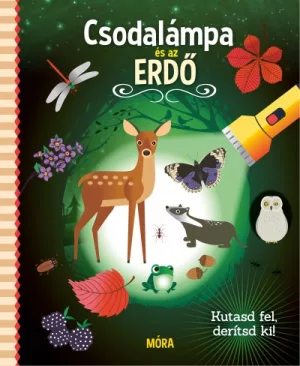 Csodalámpa és az erdő
