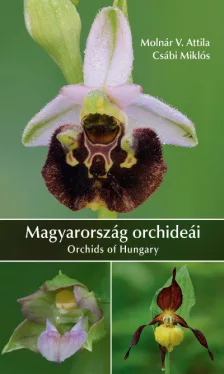 Magyarország orchideái