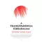 Byung-Chul Han - A transzparencia társadalma