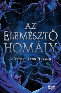 Az elemésztő homály