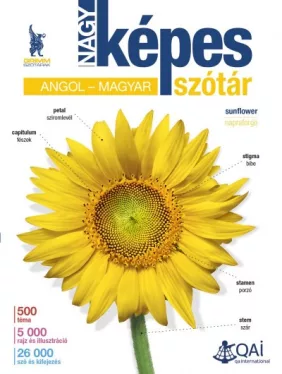 Nagy képes angol-magyar szótár