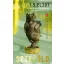 Szikföld