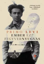 Ember ez? - Fegyvernyugvás