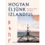 Hogyan éljünk izlandiul